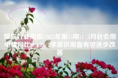 煤炭行业周报(2025年第15期)：3月社会用电量同比+4.8% 2季度供需面有望逐步改善
