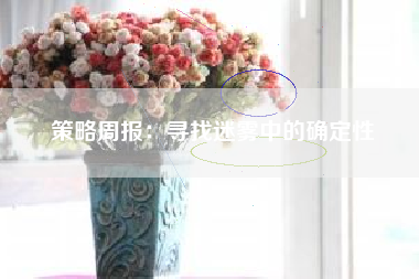 策略周报：寻找迷雾中的确定性
