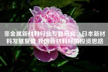 非金属新材料行业专题研究：日本新材料发展复盘 我国新材料标的投资思路