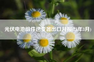 光伏电池组件逆变器出口月报(25年3月) 光伏电池组件逆变器出口月报(25年3月)