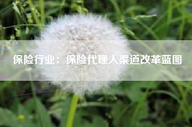 保险行业：保险代理人渠道改革蓝图
