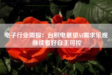 电子行业周报：台积电展望AI需求乐观 继续看好自主可控