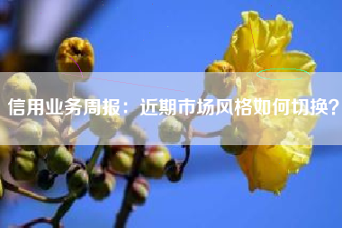 信用业务周报：近期市场风格如何切换？