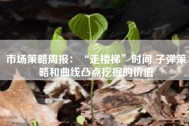 市场策略周报：“走楼梯”时间 子弹策略和曲线凸点挖掘的价值