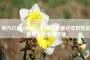 恒力石化(600346)：公司一季度经营韧性足 看好全年业绩放量