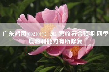 广东鸿图(002101)：2024营收符合预期 四季度盈利能力有所修复