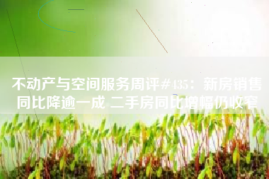 不动产与空间服务周评#435：新房销售同比降逾一成 二手房同比增幅仍收窄