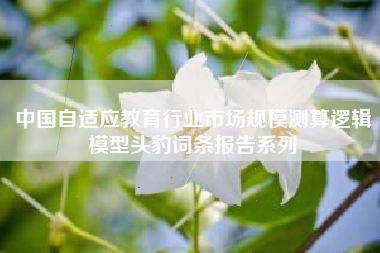中国自适应教育行业市场规模测算逻辑模型头豹词条报告系列