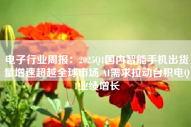 电子行业周报：2025Q1国内智能手机出货量增速超越全球市场 AI需求拉动台积电Q1业绩增长