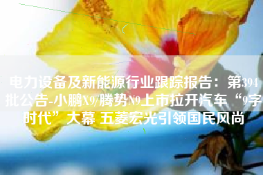 电力设备及新能源行业跟踪报告：第394批公告-小鹏X9/腾势N9上市拉开汽车“9字时代”大幕 五菱宏光引领国民风尚