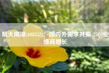 航天南湖(688552)：国内外需求共振 25Q1业绩高增长