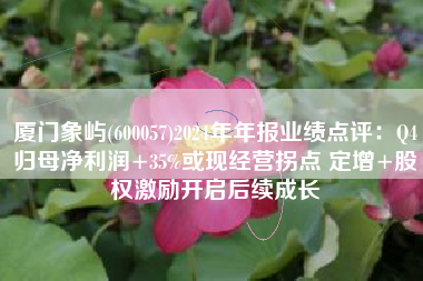 厦门象屿(600057)2024年年报业绩点评：Q4归母净利润+35%或现经营拐点 定增+股权激励开启后续成长