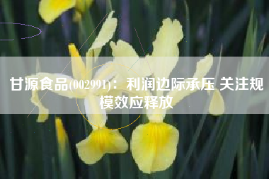 甘源食品(002991)：利润边际承压 关注规模效应释放