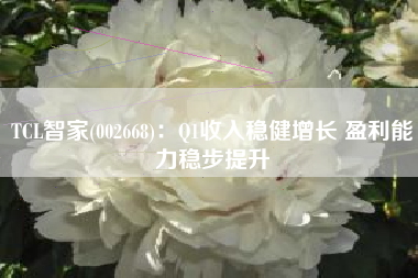 TCL智家(002668)：Q1收入稳健增长 盈利能力稳步提升