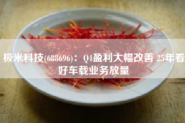 极米科技(688696)：Q4盈利大幅改善 25年看好车载业务放量