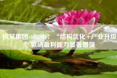 杭叉集团(603298)：“结构优化+产业升级”驱动盈利能力显著增强