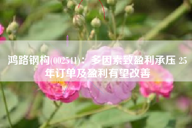鸿路钢构(002541)：多因素致盈利承压 25年订单及盈利有望改善