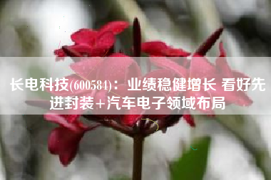 长电科技(600584)：业绩稳健增长 看好先进封装+汽车电子领域布局