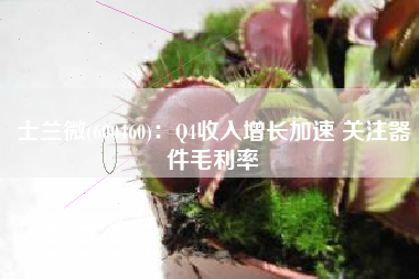 士兰微(600460)：Q4收入增长加速 关注器件毛利率