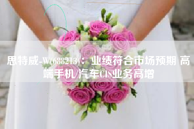 思特威-W(688213)：业绩符合市场预期 高端手机/汽车CIS业务高增
