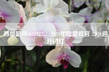 西部超导(688122)：2024年稳健收官 25Q1迎开门红