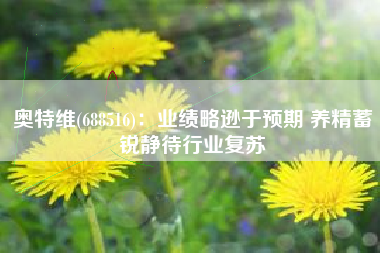 奥特维(688516)：业绩略逊于预期 养精蓄锐静待行业复苏