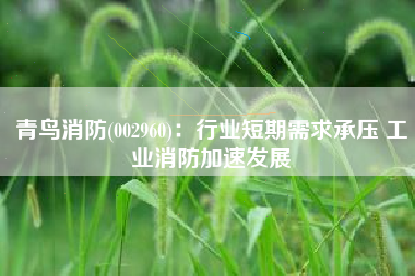 青鸟消防(002960)：行业短期需求承压 工业消防加速发展