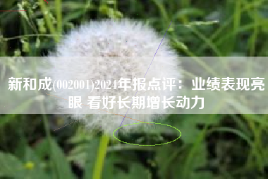 新和成(002001)2024年报点评：业绩表现亮眼 看好长期增长动力