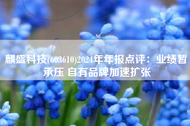 麒盛科技(603610)2024年年报点评：业绩暂承压 自有品牌加速扩张