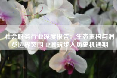 社会服务行业深度报告：生态重构与消费边界突围 IP潮玩步入历史机遇期