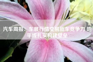 汽车周报：车展行情交易新车竞争力 地平线扎实构建壁垒
