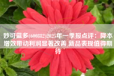 妙可蓝多(600882)2025年一季报点评：降本增效带动利润显著改善 新品表现值得期待