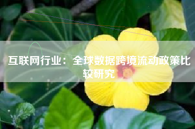 互联网行业：全球数据跨境流动政策比较研究