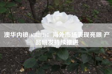 澳华内镜(688212)：海外市场表现亮眼 产品研发持续推进