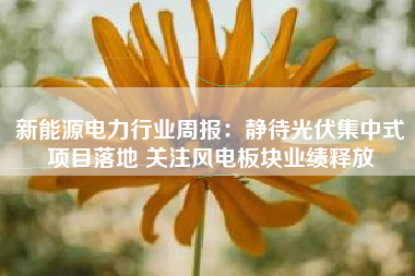 新能源电力行业周报：静待光伏集中式项目落地 关注风电板块业绩释放