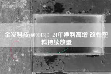 金发科技(600143)：24年净利高增 改性塑料持续放量