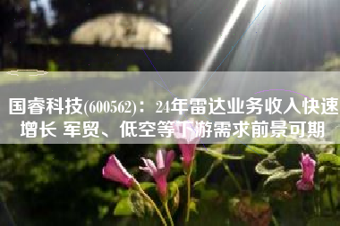 国睿科技(600562)：24年雷达业务收入快速增长 军贸、低空等下游需求前景可期