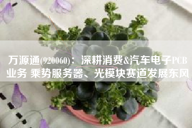 万源通(920060)：深耕消费&汽车电子PCB业务 乘势服务器、光模块赛道发展东风