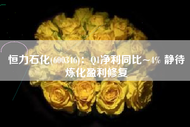 恒力石化(600346)：Q1净利同比~4% 静待炼化盈利修复