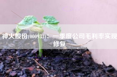 神火股份(000933)：一季度公司毛利率实现修复