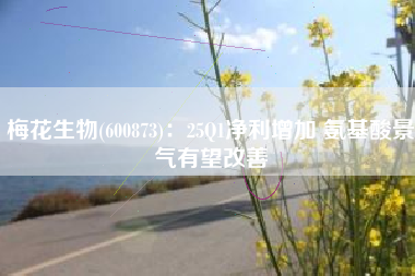 梅花生物(600873)：25Q1净利增加 氨基酸景气有望改善