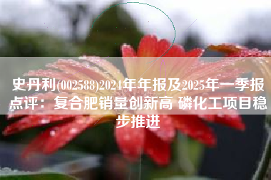史丹利(002588)2024年年报及2025年一季报点评：复合肥销量创新高 磷化工项目稳步推进
