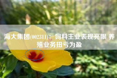 海大集团(002311)：饲料主业表现亮眼 养殖业务扭亏为盈