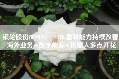 银轮股份(002126)：24年盈利能力持续改善 海外业务+数字能源+机器人多点开花
