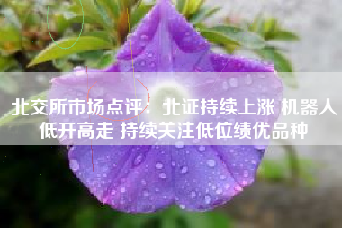 北交所市场点评：北证持续上涨 机器人低开高走 持续关注低位绩优品种