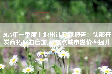 2025年一季度土地出让专题报告：头部开发商拓展力度加大 重点城市溢价率提升
