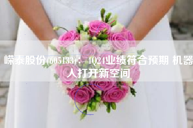 嵘泰股份(605133)：4Q24业绩符合预期 机器人打开新空间