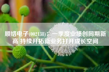 顺络电子(002138)：一季度业绩创同期新高 持续开拓新业务打开成长空间