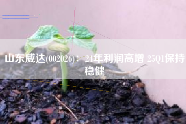 山东威达(002026)：24年利润高增 25Q1保持稳健