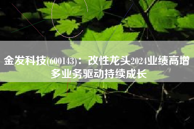 金发科技(600143)：改性龙头2024业绩高增 多业务驱动持续成长